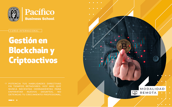 Experto en Gestión de  Blockchain y Criptoactivos